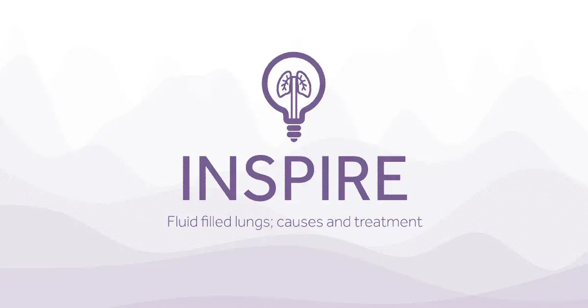 Inspire Blog Fluid Filled Lungs by Armstrong Medical