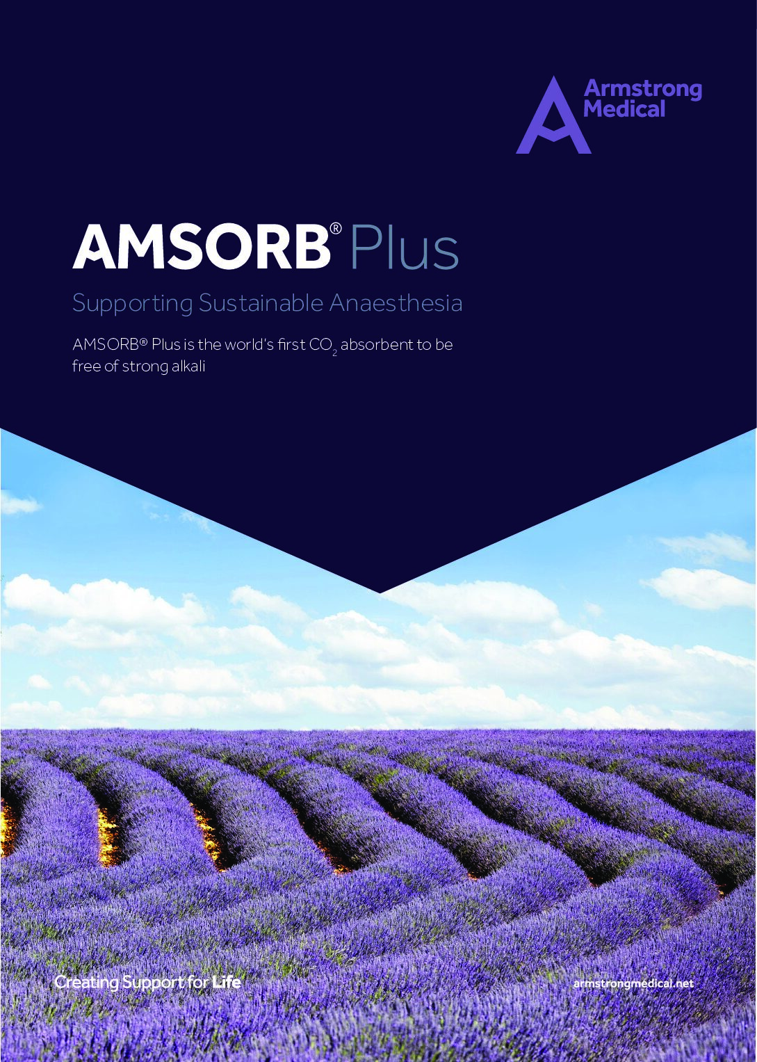 AMSORB Plus Sustainable Anaesthesia Brochure v1 1 pdf Armstrong Medical | Medical Device Manufacturer